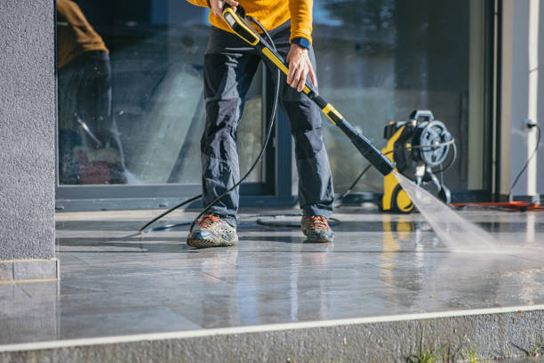 Best Gutter Cleaning  in Safford, AZ