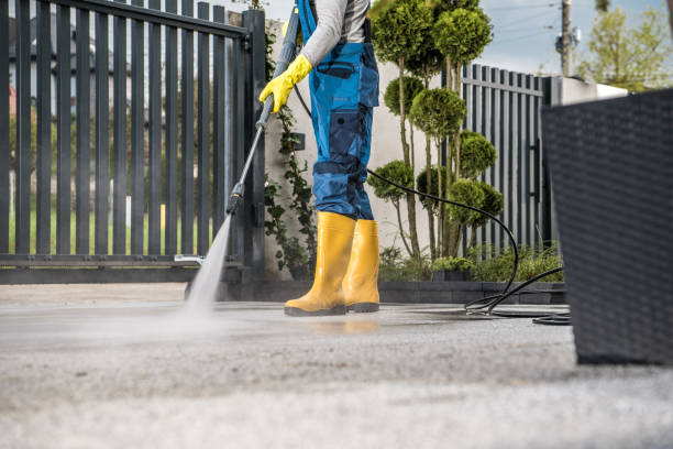 Best Fence Cleaning  in Safford, AZ